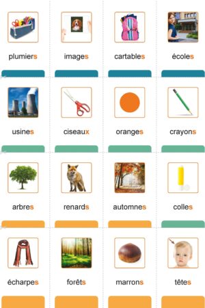 J'apprends à lire avec Sacha 1 Boîte à mots