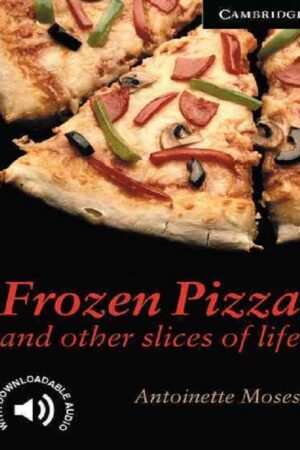 Frozen Pizza and Other Slices of Life Level 6