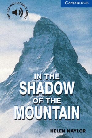 In the Shadow of the Mountain Level 5