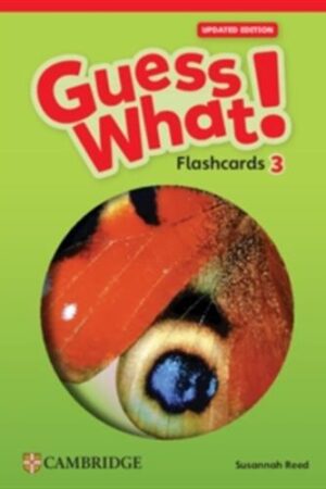 Guess What! Level 3 - Flashcards (pack of 75) British English